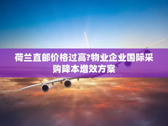 荷兰直邮价格过高?物业企业国际采购降本增效方案