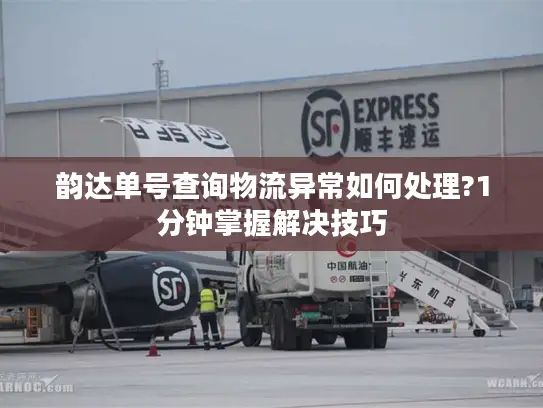 韵达单号查询物流异常如何处理?1分钟掌握解决技巧