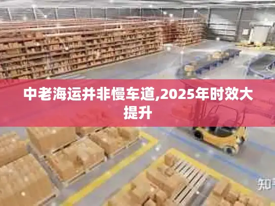 中老海运并非慢车道,2025年时效大提升