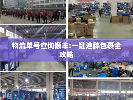 物流单号查询顺丰:一键追踪包裹全攻略