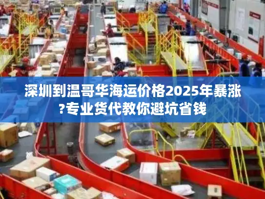 深圳到温哥华海运价格2025年暴涨?专业货代教你避坑省钱