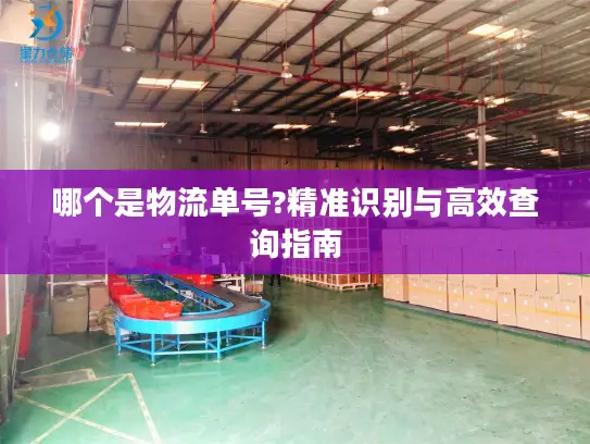 哪个是物流单号?精准识别与高效查询指南