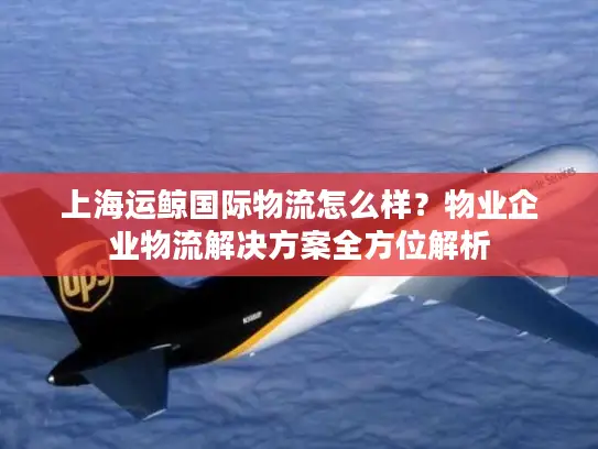 上海运鲸国际物流怎么样？物业企业物流解决方案全方位解析