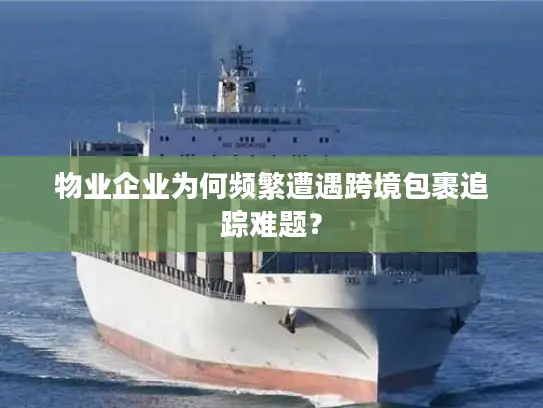 物业企业为何频繁遭遇跨境包裹追踪难题？