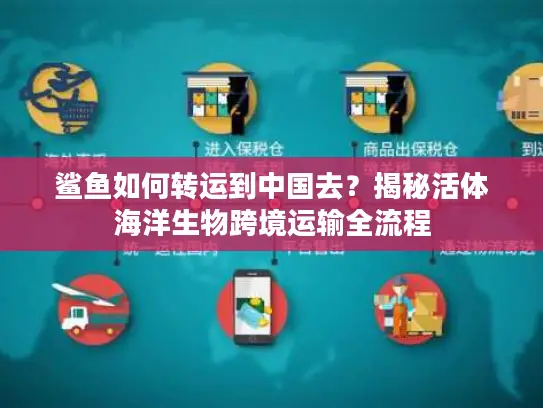 鲨鱼如何转运到中国去？揭秘活体海洋生物跨境运输全流程