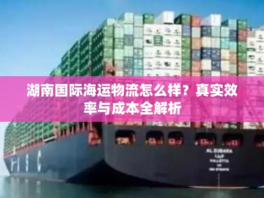 湖南国际海运物流怎么样？真实效率与成本全解析