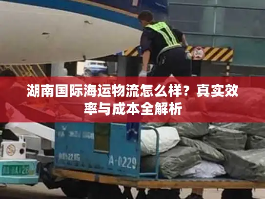湖南国际海运物流怎么样？真实效率与成本全解析