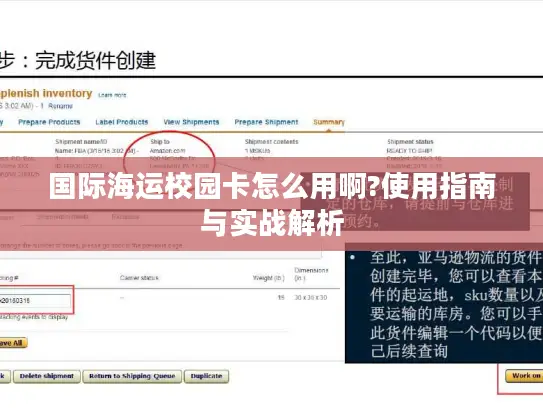 国际海运校园卡怎么用啊?使用指南与实战解析