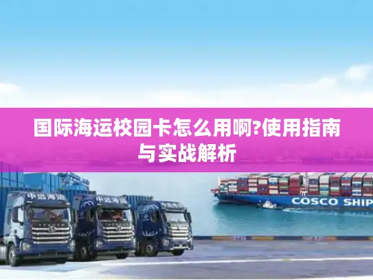 国际海运校园卡怎么用啊?使用指南与实战解析