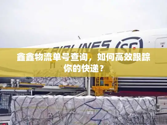 鑫鑫物流单号查询，如何高效跟踪你的快递？