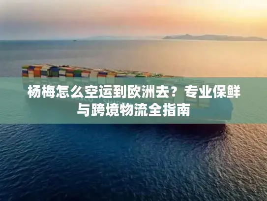 杨梅怎么空运到欧洲去？专业保鲜与跨境物流全指南