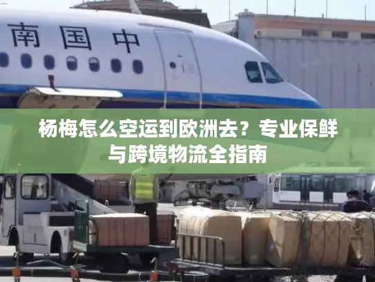 杨梅怎么空运到欧洲去？专业保鲜与跨境物流全指南