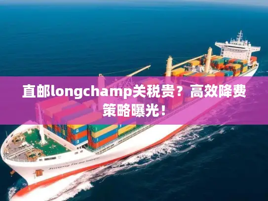 直邮longchamp关税贵？高效降费策略曝光！