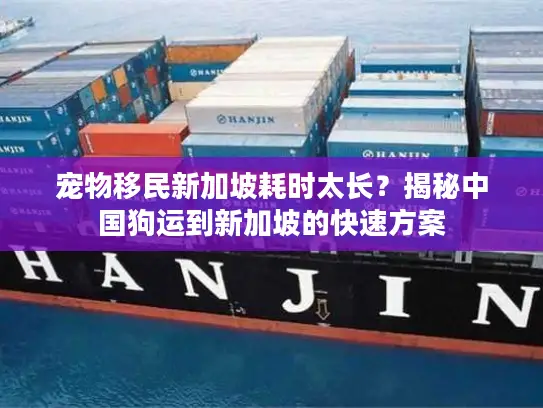 宠物移民新加坡耗时太长？揭秘中国狗运到新加坡的快速方案