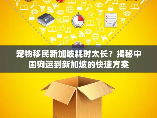 宠物移民新加坡耗时太长？揭秘中国狗运到新加坡的快速方案