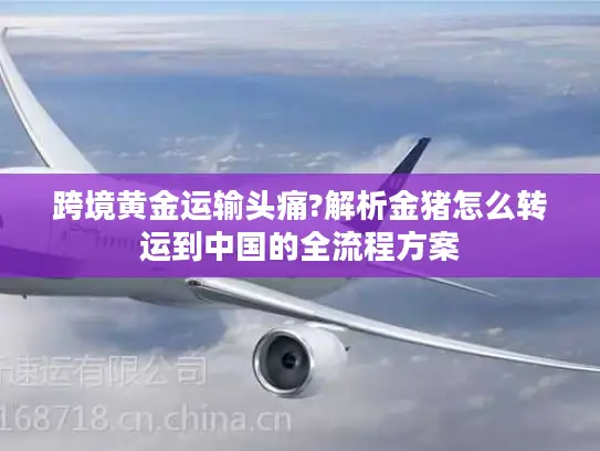 跨境黄金运输头痛?解析金猪怎么转运到中国的全流程方案