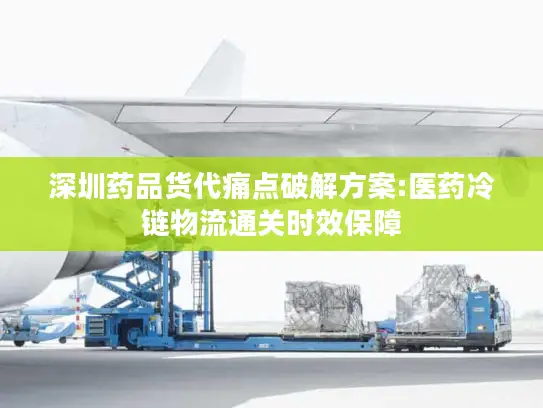 深圳药品货代痛点破解方案:医药冷链物流通关时效保障