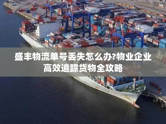 盛丰物流单号丢失怎么办?物业企业高效追踪货物全攻略