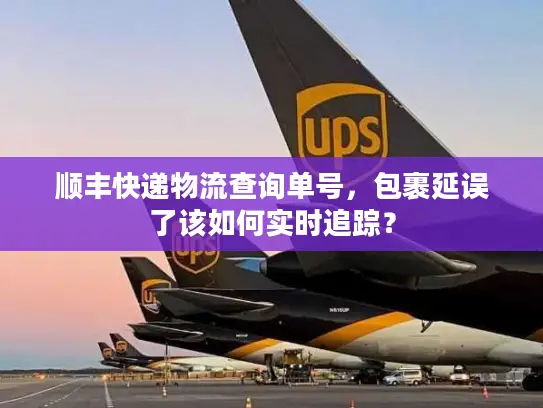 顺丰快递物流查询单号，包裹延误了该如何实时追踪？