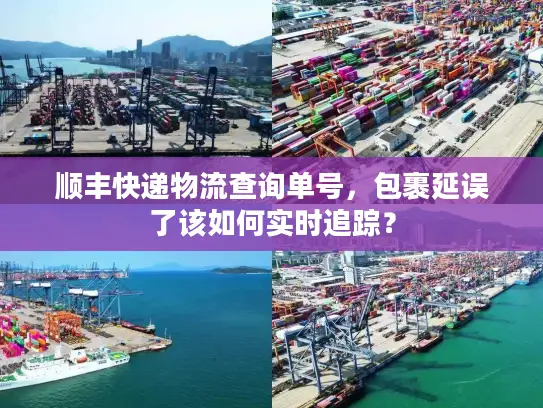 顺丰快递物流查询单号，包裹延误了该如何实时追踪？