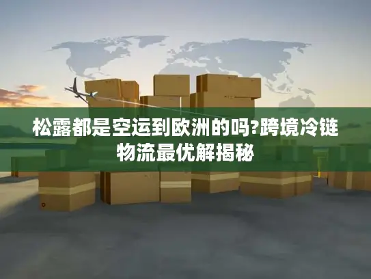 松露都是空运到欧洲的吗?跨境冷链物流最优解揭秘