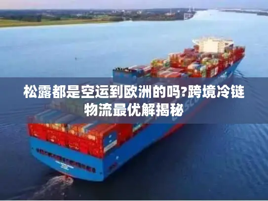 松露都是空运到欧洲的吗?跨境冷链物流最优解揭秘