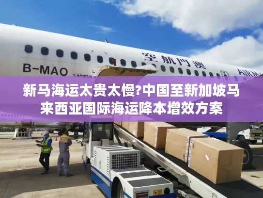 新马海运太贵太慢?中国至新加坡马来西亚国际海运降本增效方案