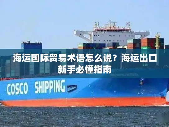 海运国际贸易术语怎么说？海运出口新手必懂指南