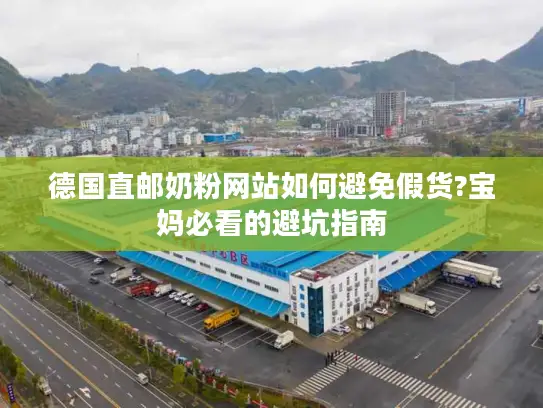 德国直邮奶粉网站如何避免假货?宝妈必看的避坑指南