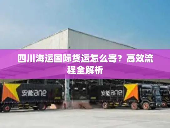 四川海运国际货运怎么寄？高效流程全解析