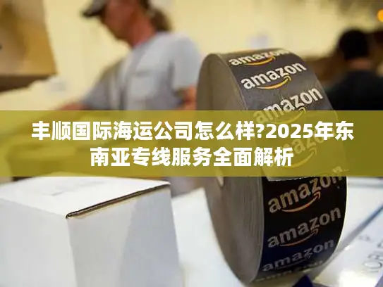 丰顺国际海运公司怎么样?2025年东南亚专线服务全面解析