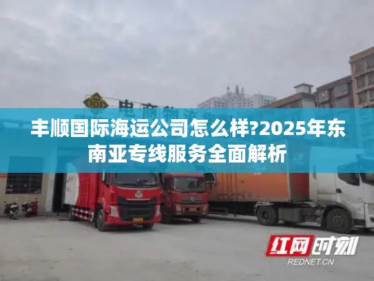 丰顺国际海运公司怎么样?2025年东南亚专线服务全面解析