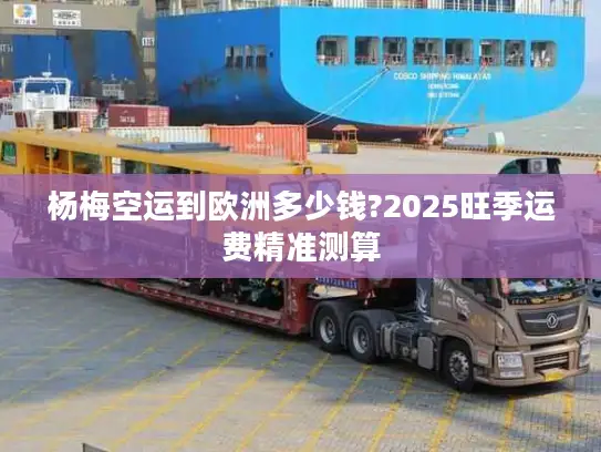 杨梅空运到欧洲多少钱?2025旺季运费精准测算