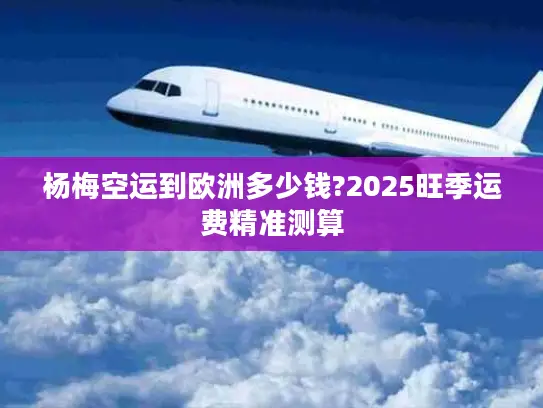 杨梅空运到欧洲多少钱?2025旺季运费精准测算