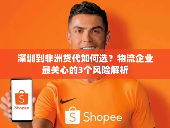 深圳到非洲货代如何选？物流企业最关心的3个风险解析