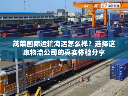 茂荣国际运输海运怎么样？选择这家物流公司的真实体验分享