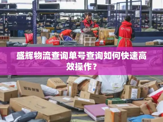 盛辉物流查询单号查询如何快速高效操作？