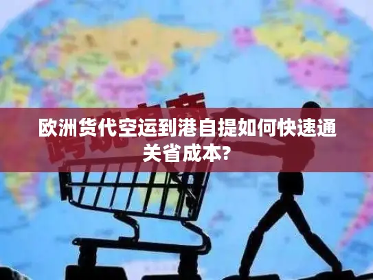 欧洲货代空运到港自提如何快速通关省成本?