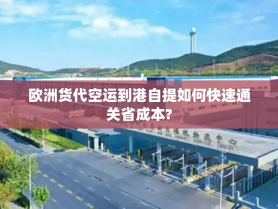 欧洲货代空运到港自提如何快速通关省成本?
