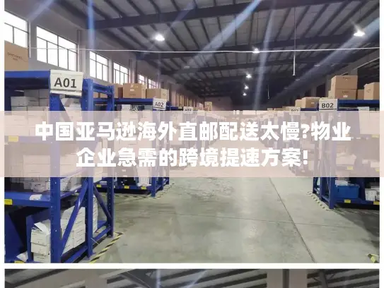 中国亚马逊海外直邮配送太慢?物业企业急需的跨境提速方案!