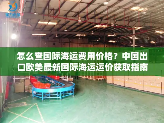 怎么查国际海运费用价格？中国出口欧美最新国际海运运价获取指南