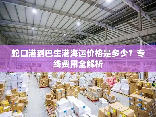 蛇口港到巴生港海运价格是多少？专线费用全解析