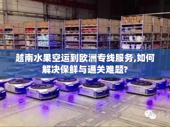 越南水果空运到欧洲专线服务,如何解决保鲜与通关难题?