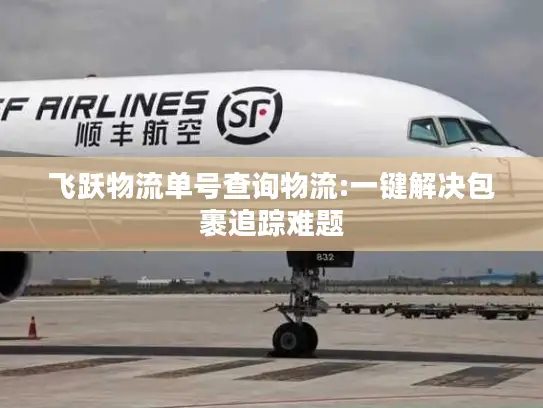飞跃物流单号查询物流:一键解决包裹追踪难题