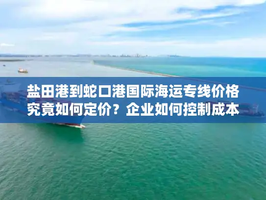 盐田港到蛇口港国际海运专线价格究竟如何定价？企业如何控制成本？