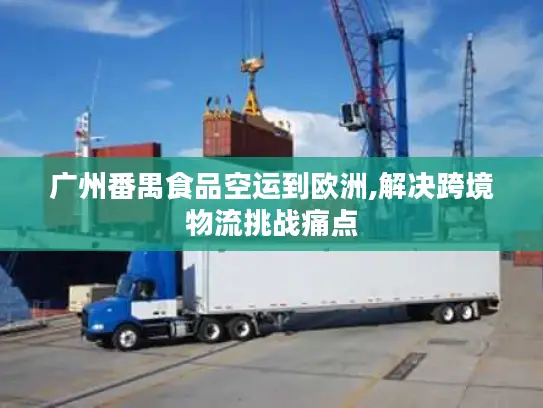 广州番禺食品空运到欧洲,解决跨境物流挑战痛点