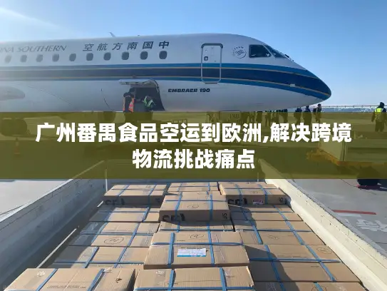 广州番禺食品空运到欧洲,解决跨境物流挑战痛点
