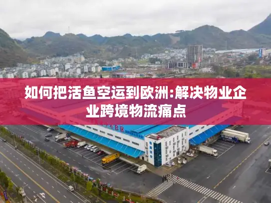 如何把活鱼空运到欧洲:解决物业企业跨境物流痛点