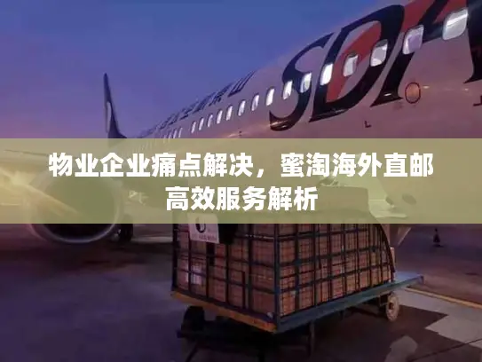 物业企业痛点解决，蜜淘海外直邮高效服务解析