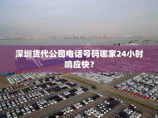 深圳货代公司电话号码哪家24小时响应快？